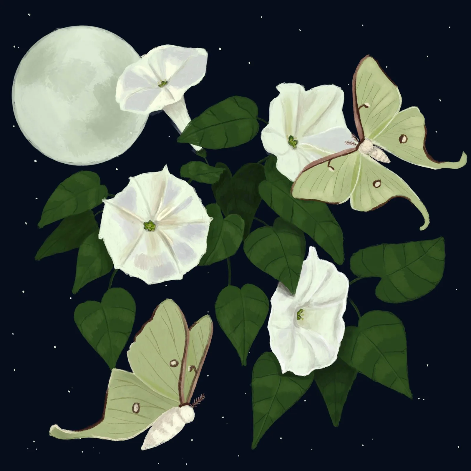 La Luna by Abby Jacobs