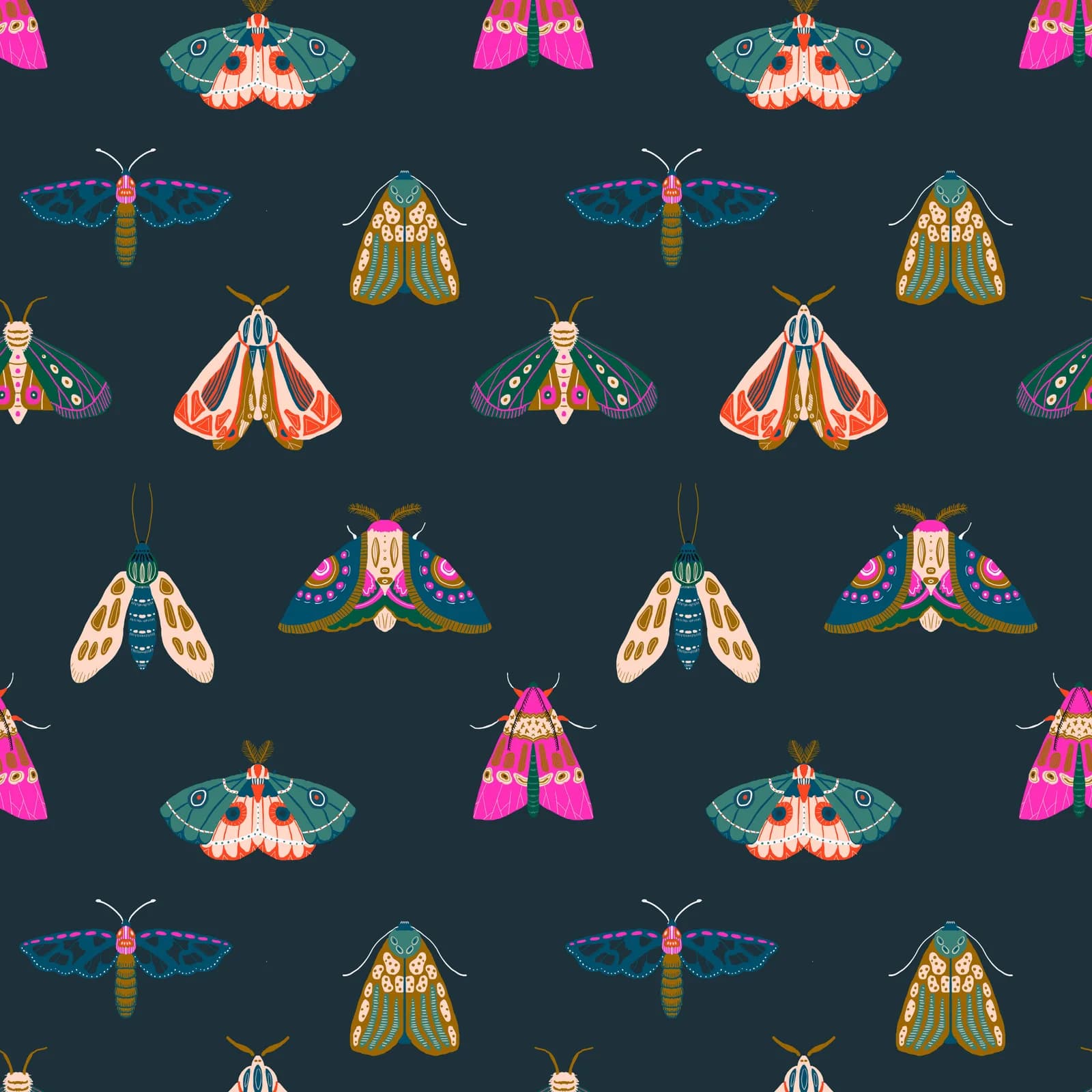 Decorated Moths by Abby Jacobs