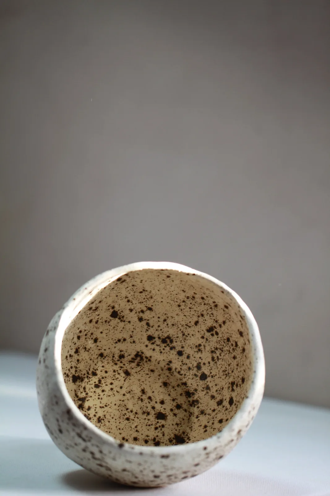 A speckled ceramic bowl with a natural gray and pine cone interior.