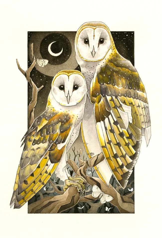 Two barn owls perch on branches under a crescent moon, rendered in watercolor with a palette of Barley Corn and Roti.