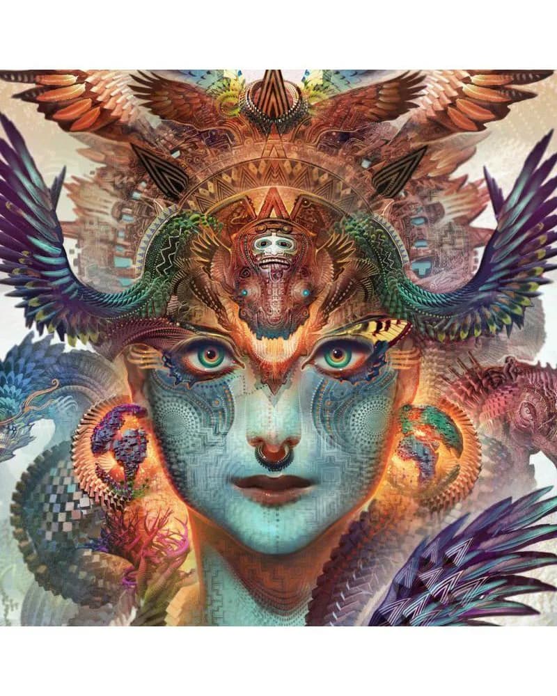 Untitled artwork by Android Jones