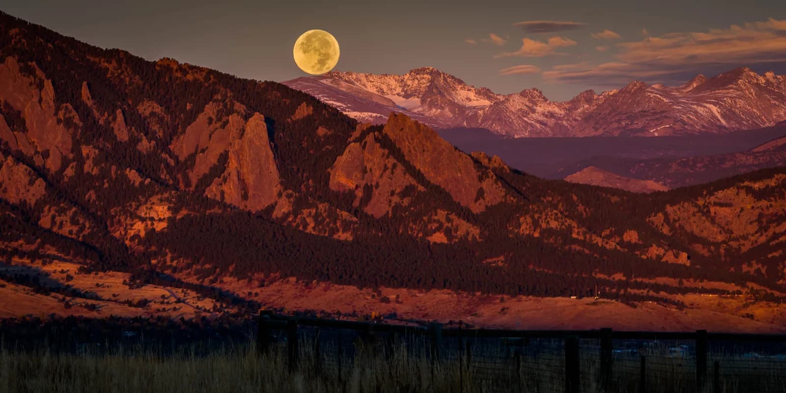 Featured artwork by Andy Schwartz