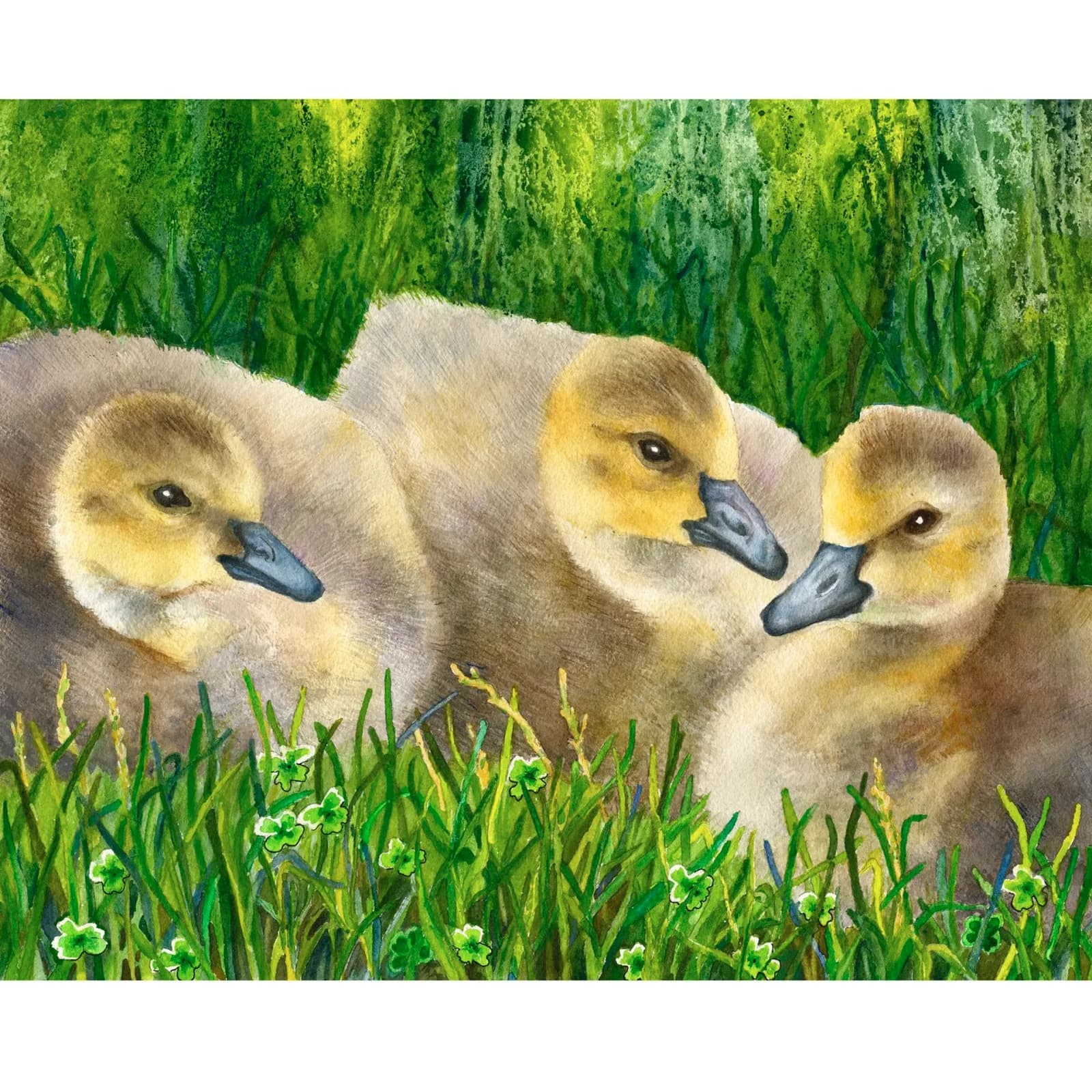 Featured artwork by Anne Gifford