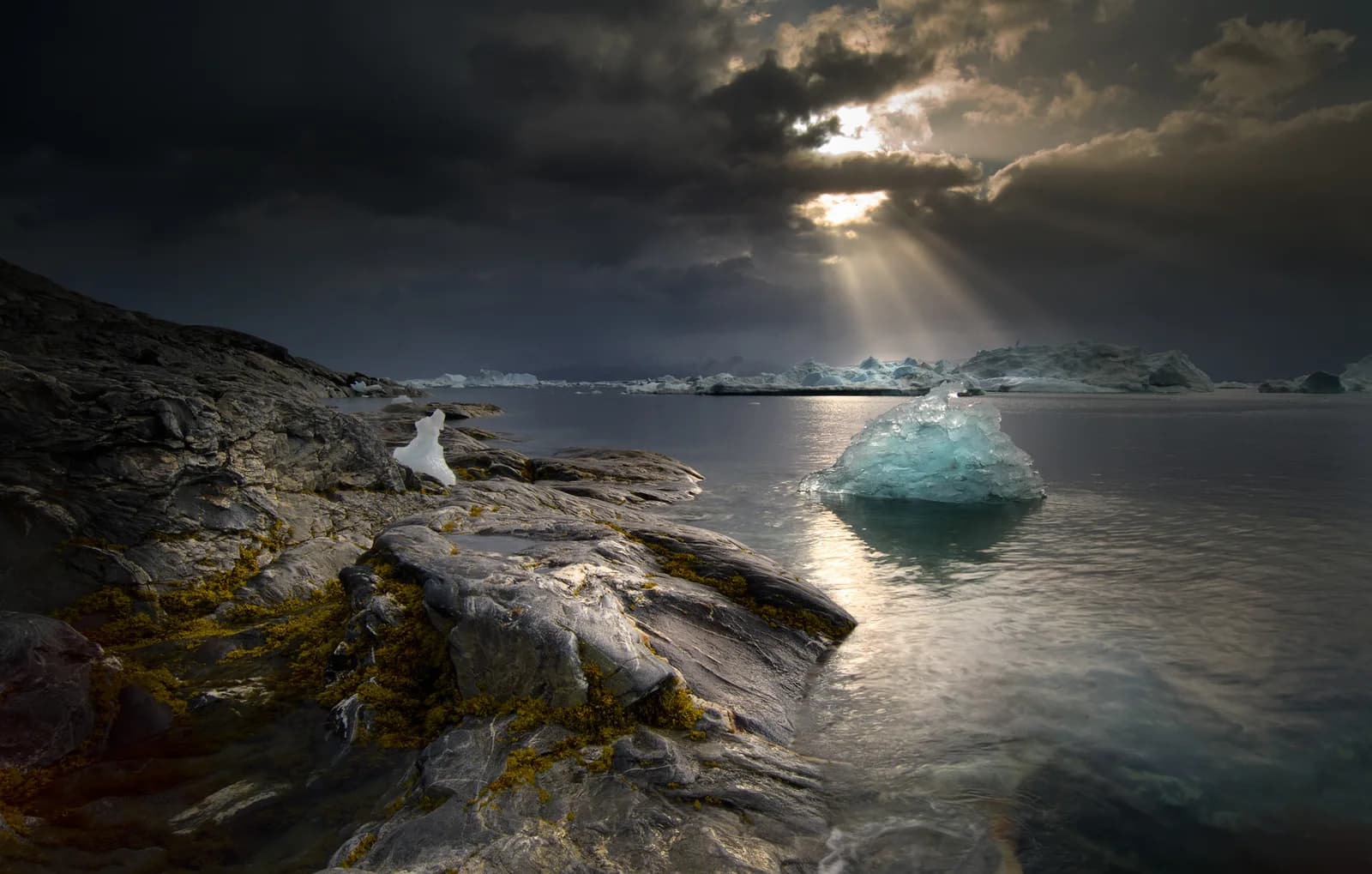 Untitled artwork by Arctic Arts Project, LLC