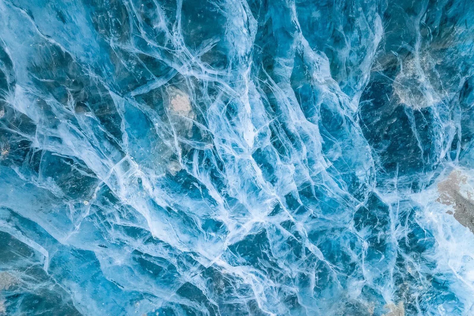 Untitled artwork by Arctic Arts Project, LLC