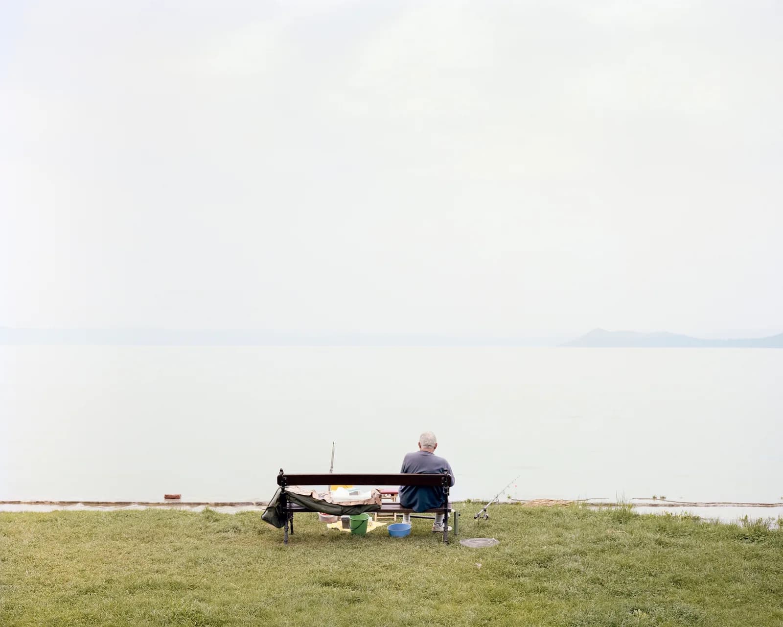 Untitled artwork by Camille Hook