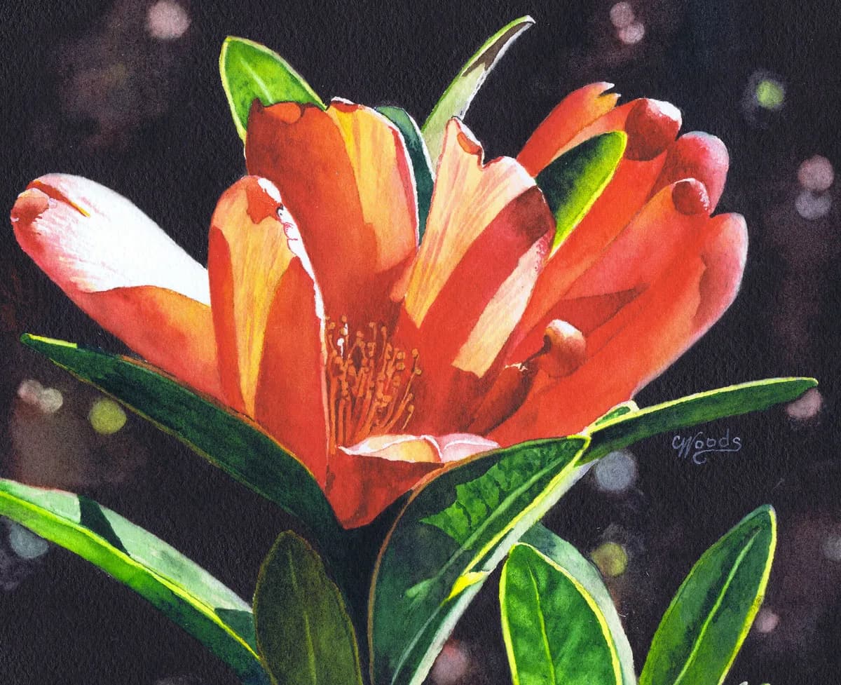 Untitled artwork by Catharine Woods