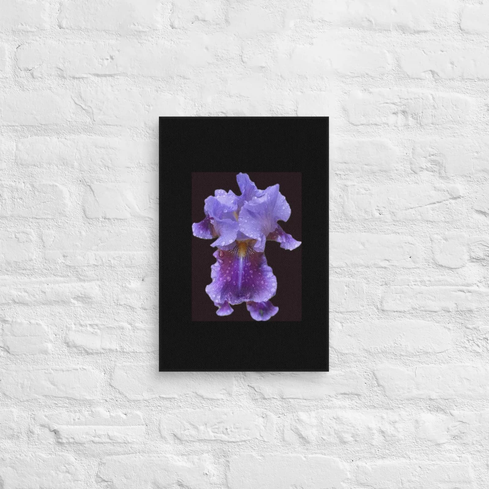 A close-up photograph of a purple iris covered in water droplets, set against a dark background.