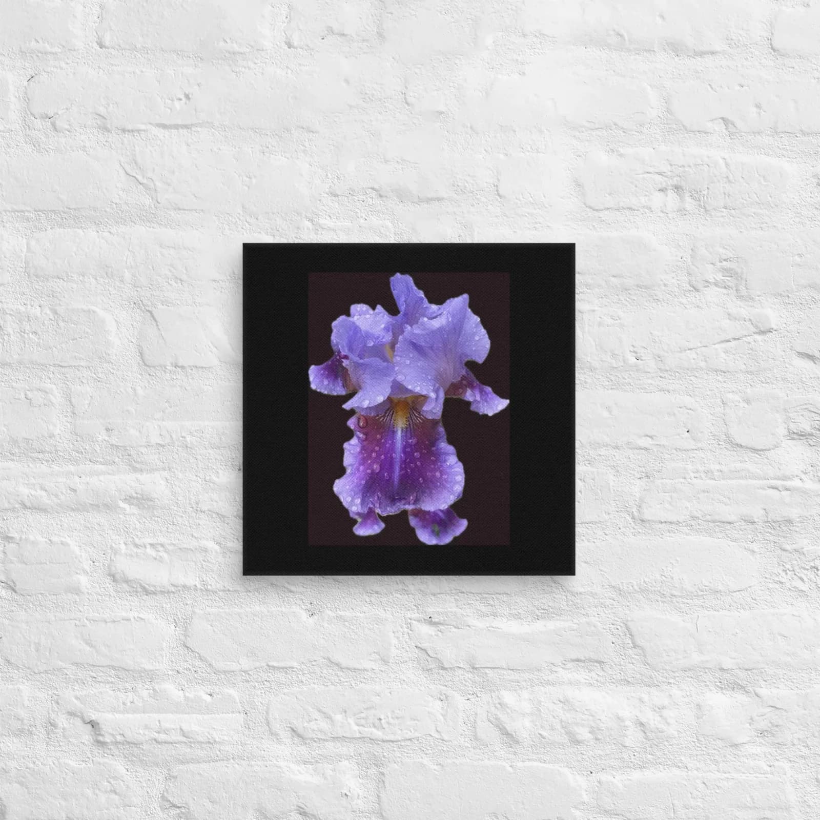 A close-up photograph of a purple iris with water drops, set against a dark background.
