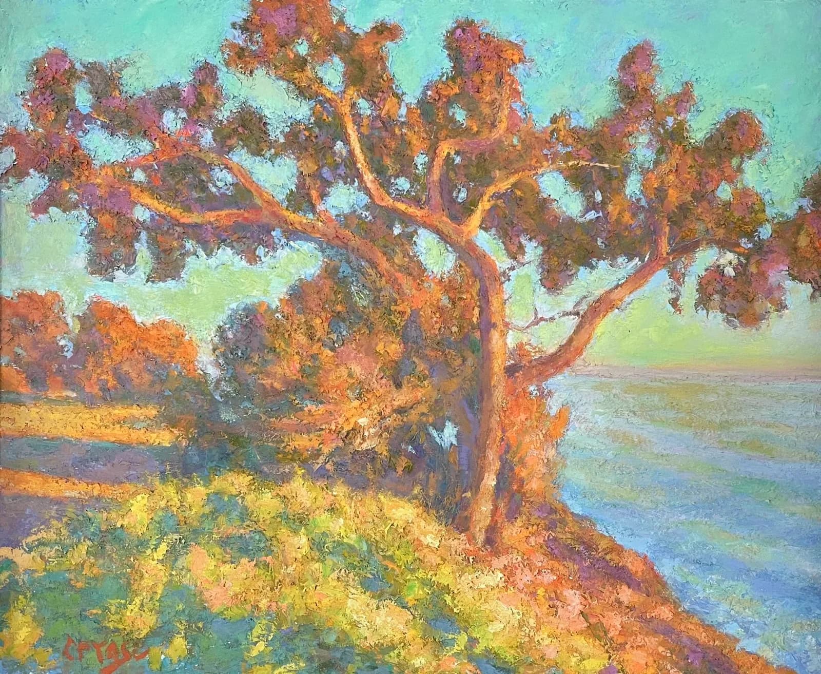 Artwork by Chuck Ceraso