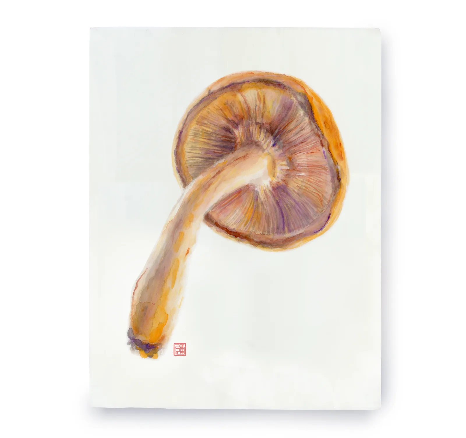 A watercolor painting of a mushroom, rendered in shades of whiskey and sandy brown, with a red artist's seal.