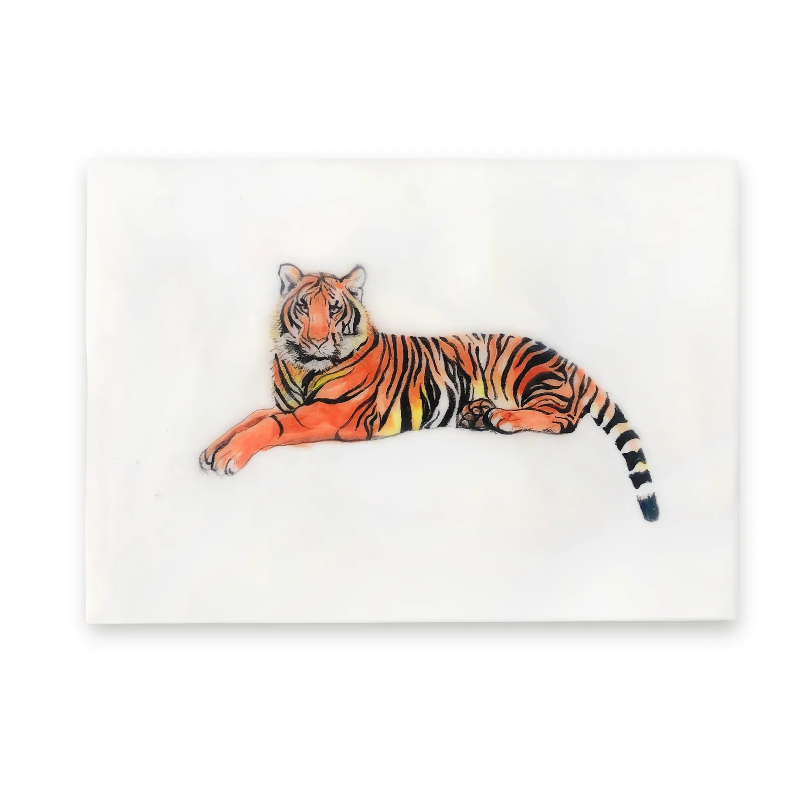 Untitled artwork by Connie Luebbert