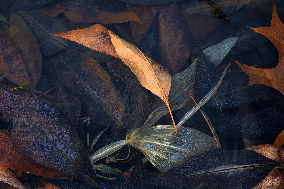 Untitled artwork by Dan Baumbach