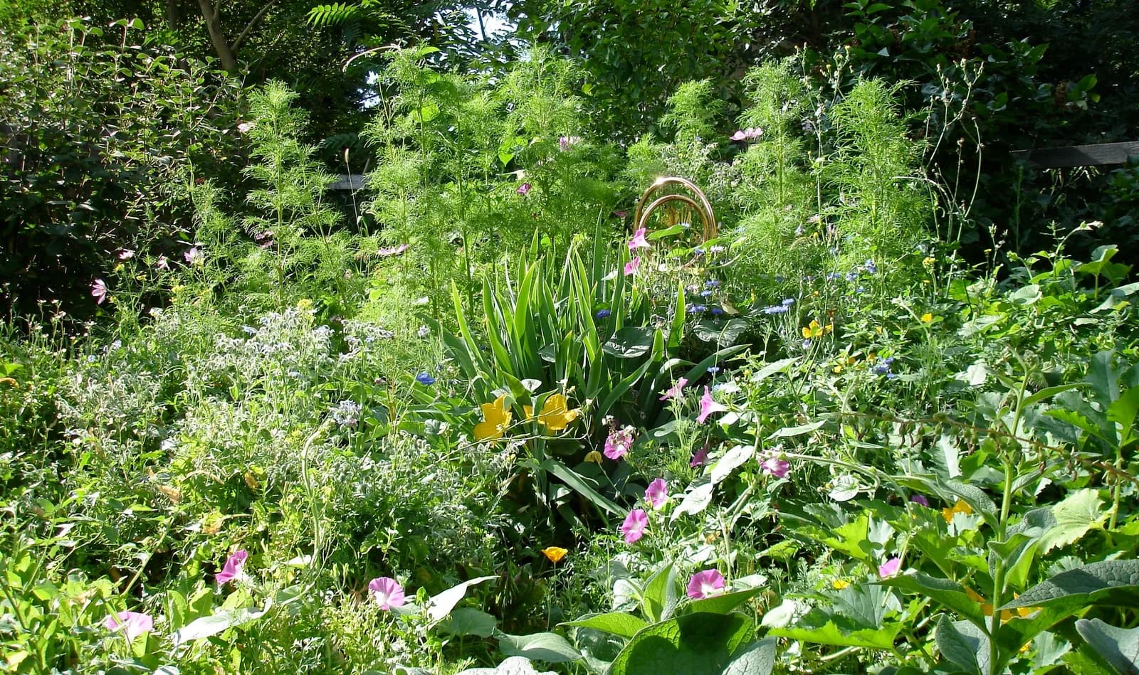 A vibrant garden scene bursts with colorful flowers and lush greenery, captured in a photograph.