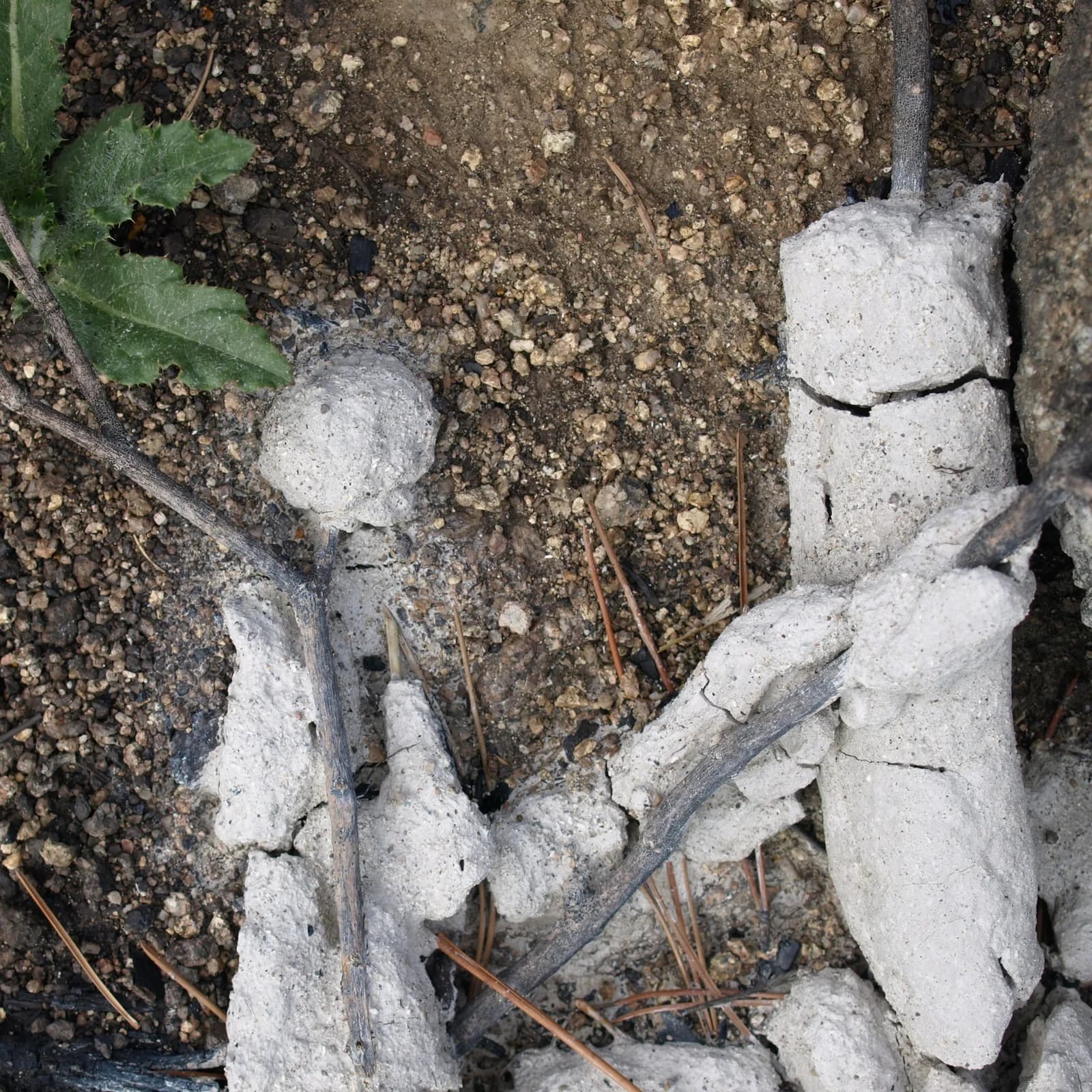 A close-up view of concrete structures and branches on the ground.