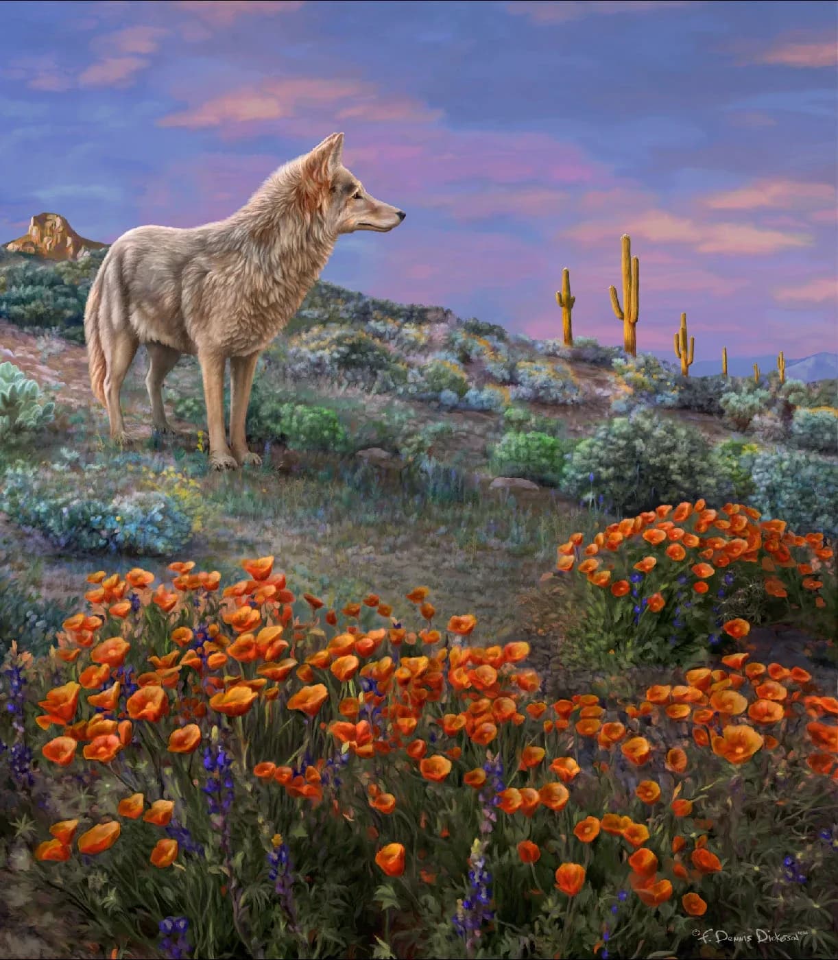 A coyote stands in a desert landscape filled with poppies and lupine under a colorful sunset sky.