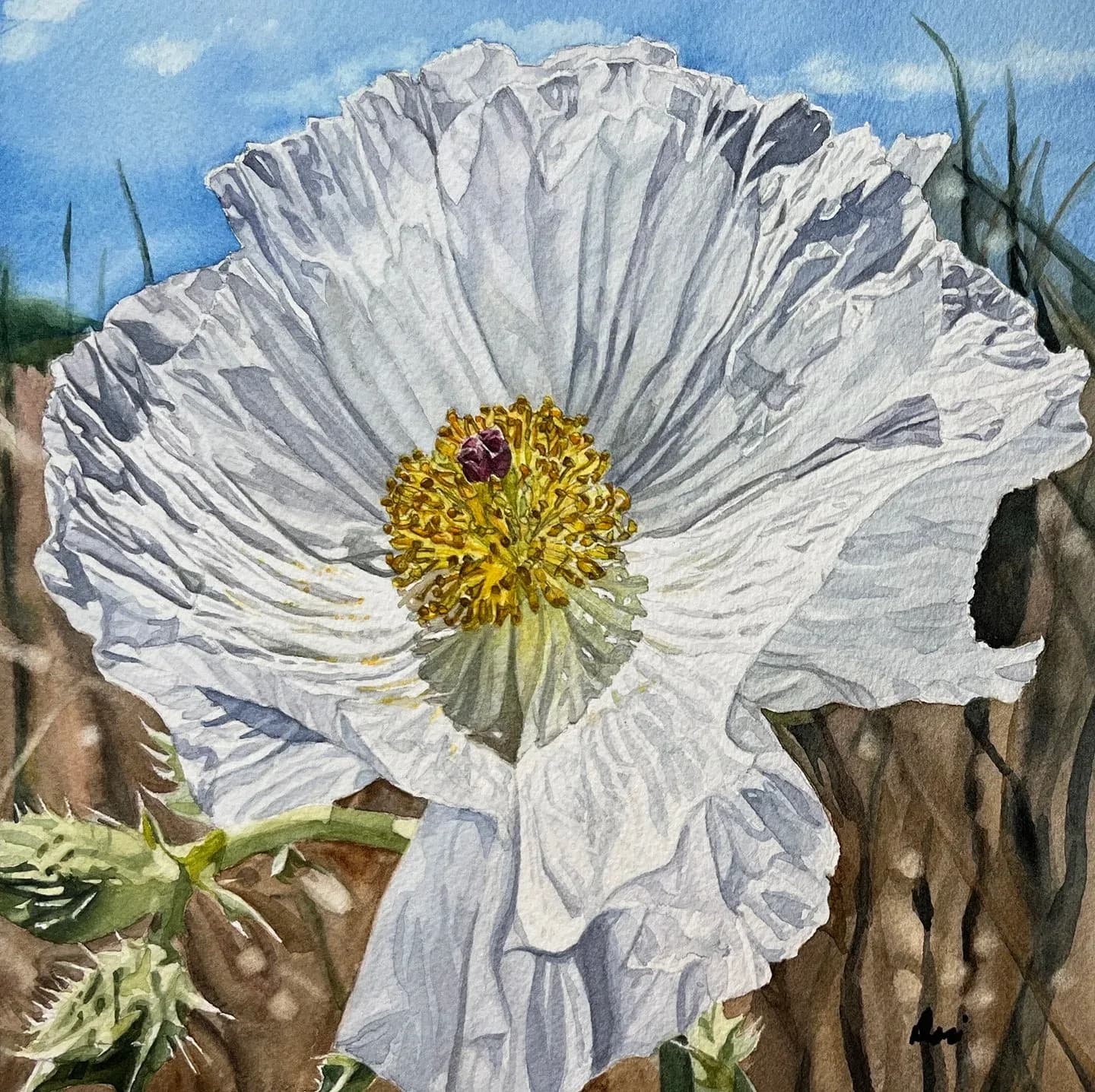 A delicate white poppy is rendered in watercolor, set against a soft blue sky and earthy background.