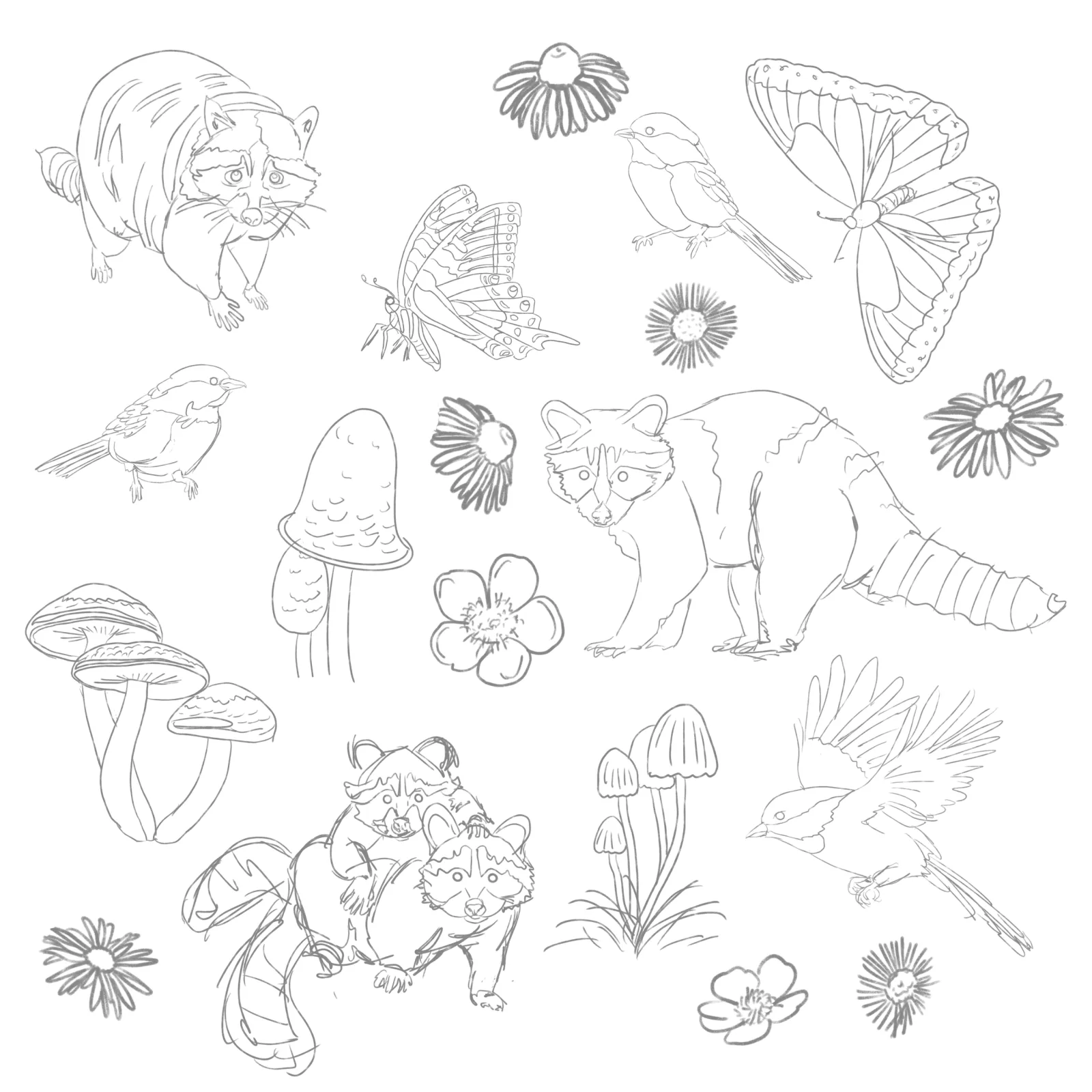 A whimsical ink drawing features raccoons, butterflies, birds, mushrooms, and flowers in a playful arrangement.