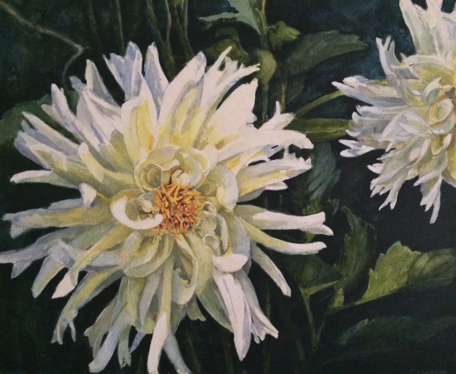 White Dahlia by Gigi Lambert