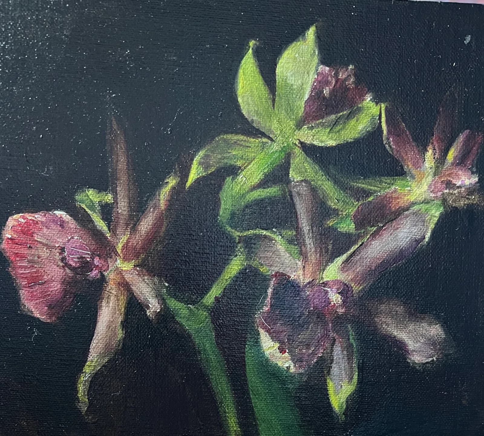 Untitled artwork by Gillian Sargeant