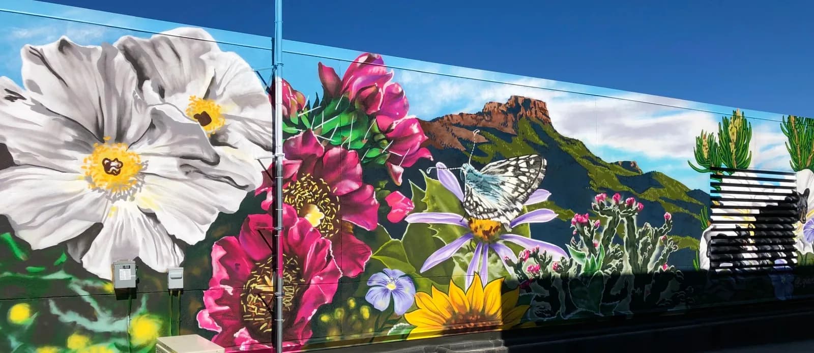 A vibrant mural depicts large white and pink flowers, a butterfly, and the Flatirons mountains under a blue sky.