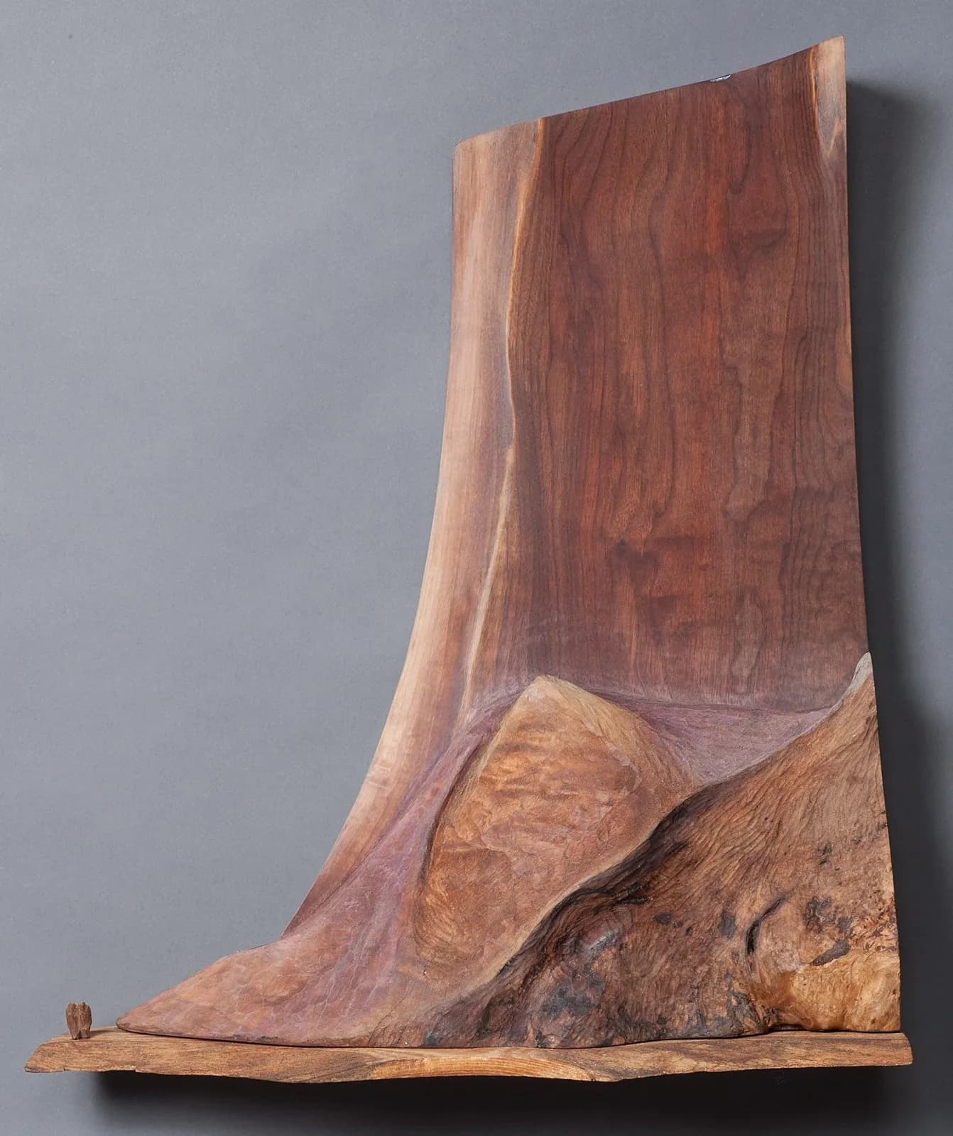 An abstract wood sculpture with organic, flowing lines and a natural finish, evoking natural forms.