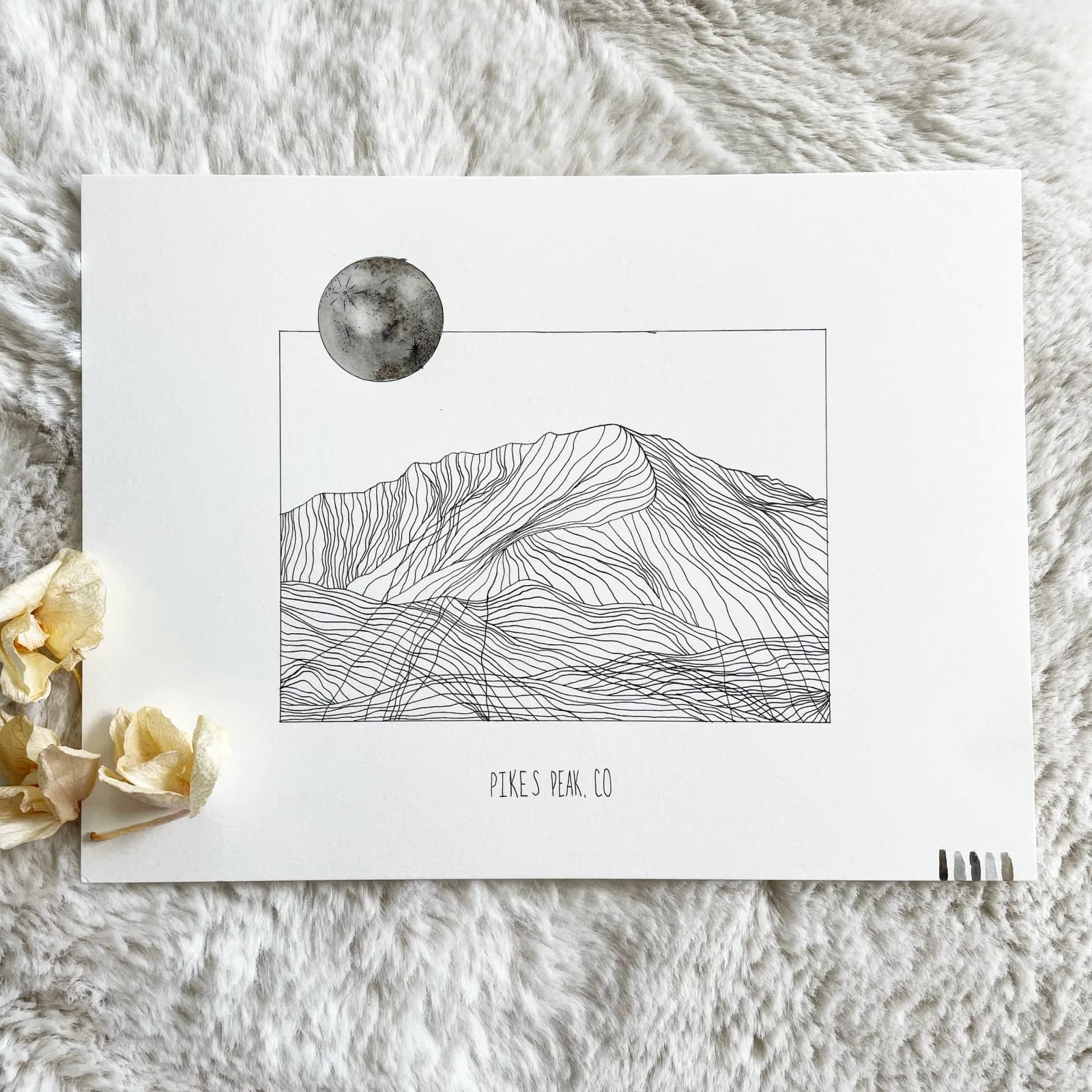 Untitled artwork by Jane Cunningham
