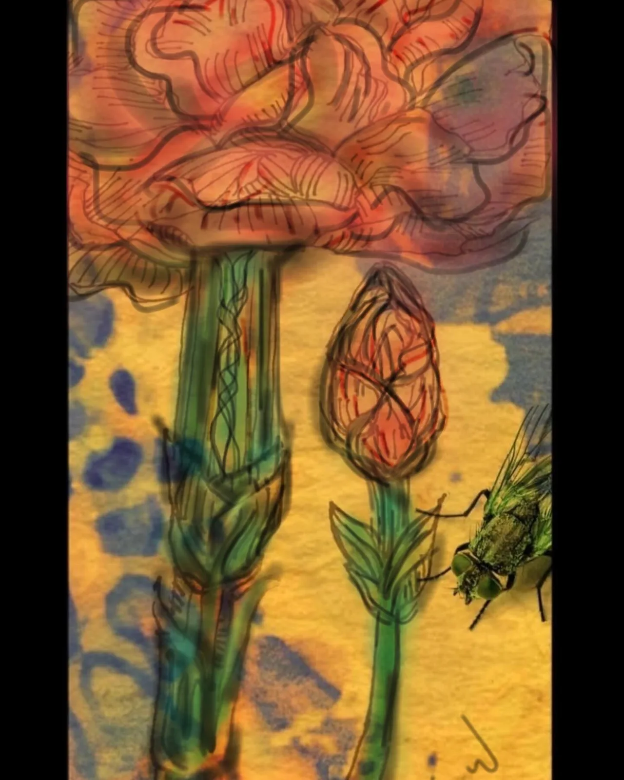 Featured artwork by Jennifer Willoughby