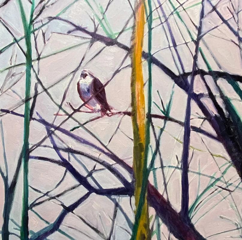 Picture by Jenny Emerson