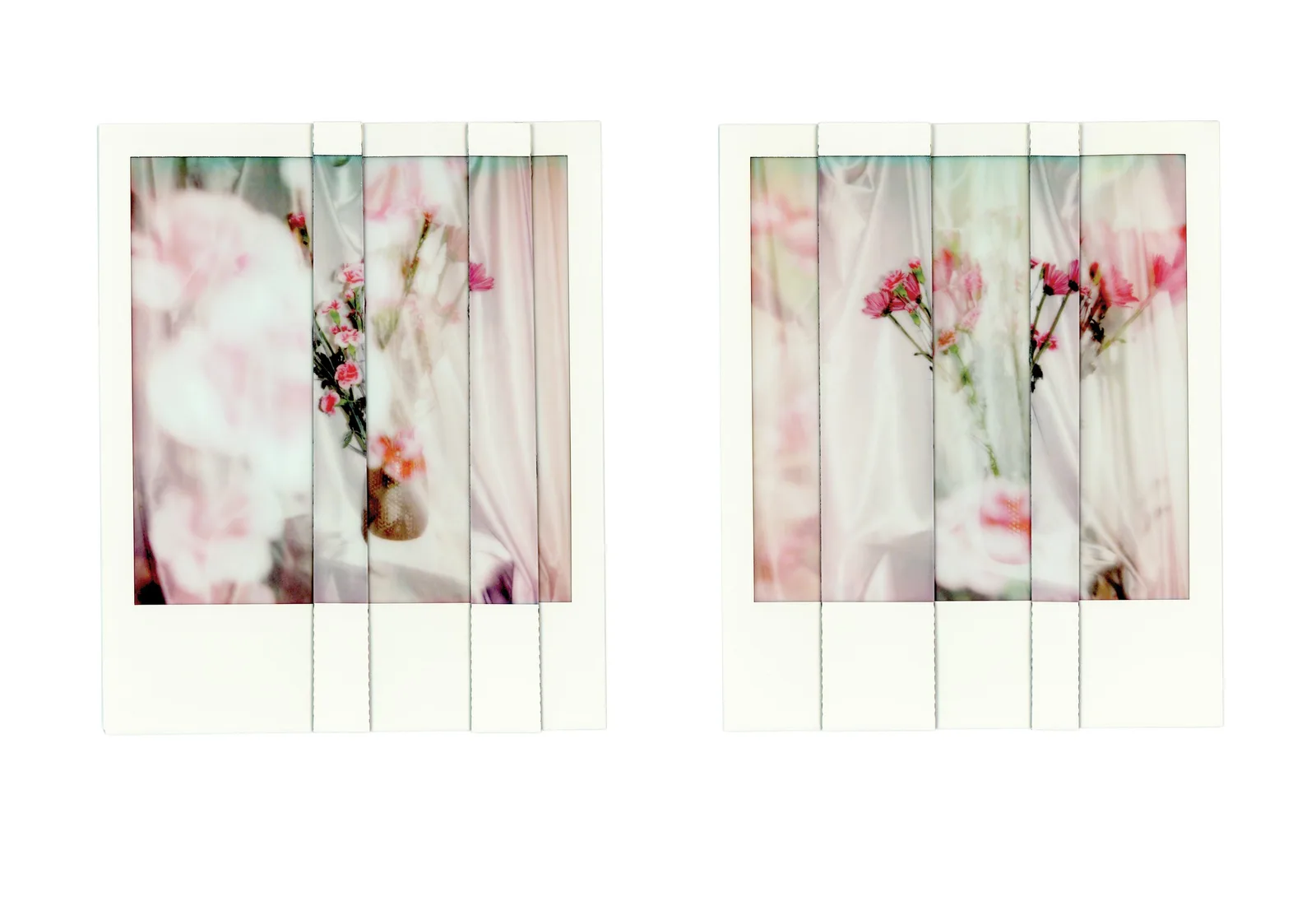 Two Polaroid-style photographs show arrangements of pink flowers in vases against a soft, draped background.