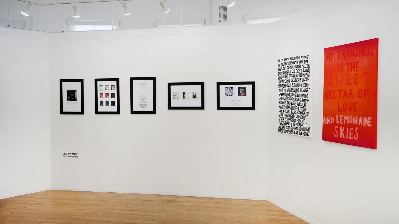 A gallery wall displays framed photographs and a large text-based painting titled "My Transness is the Sweet Nectar of Love and Lemonade Skies."