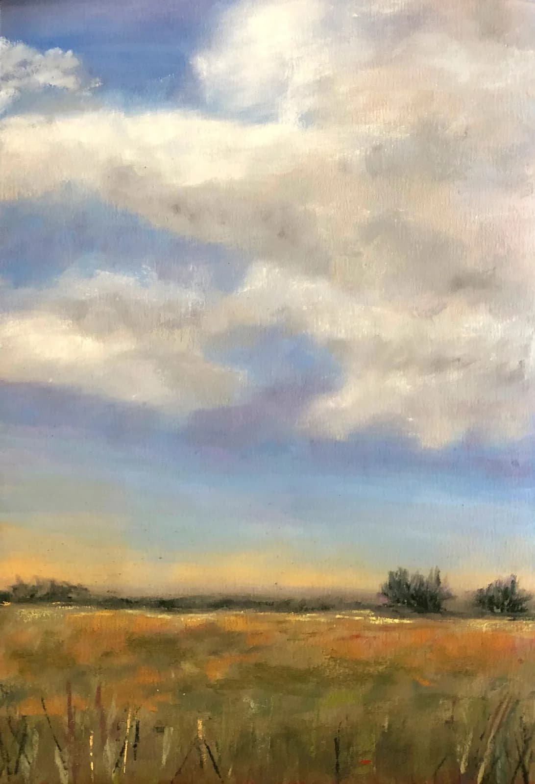 Untitled artwork by Jill Rumley
