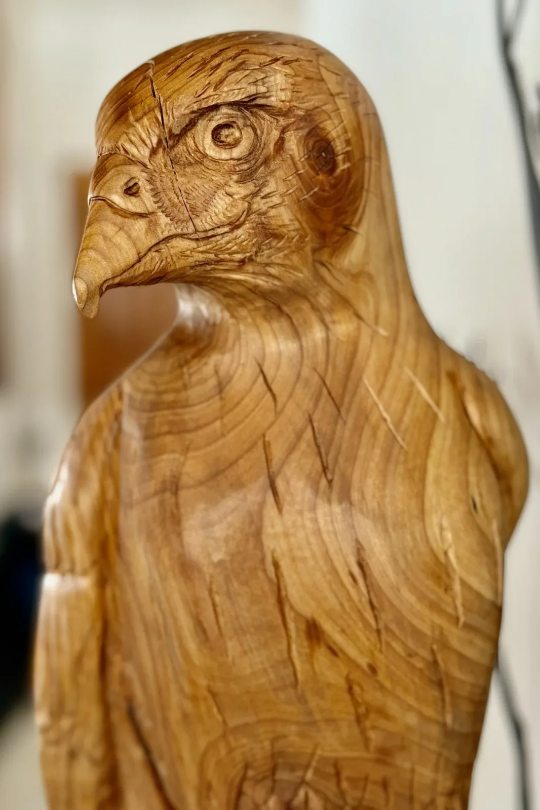 Detail by Julia German