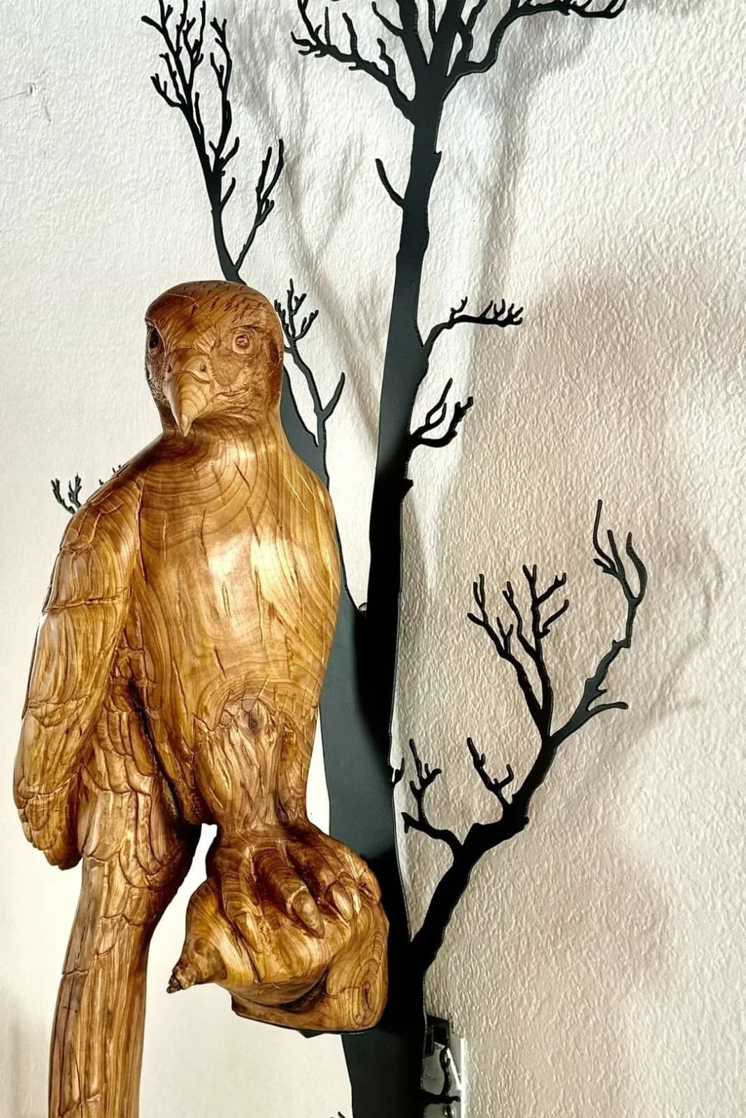 Hawk by Julia German