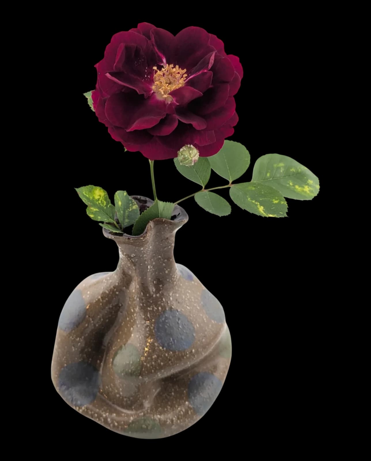 Untitled artwork by Julie BaBulie Ceramics