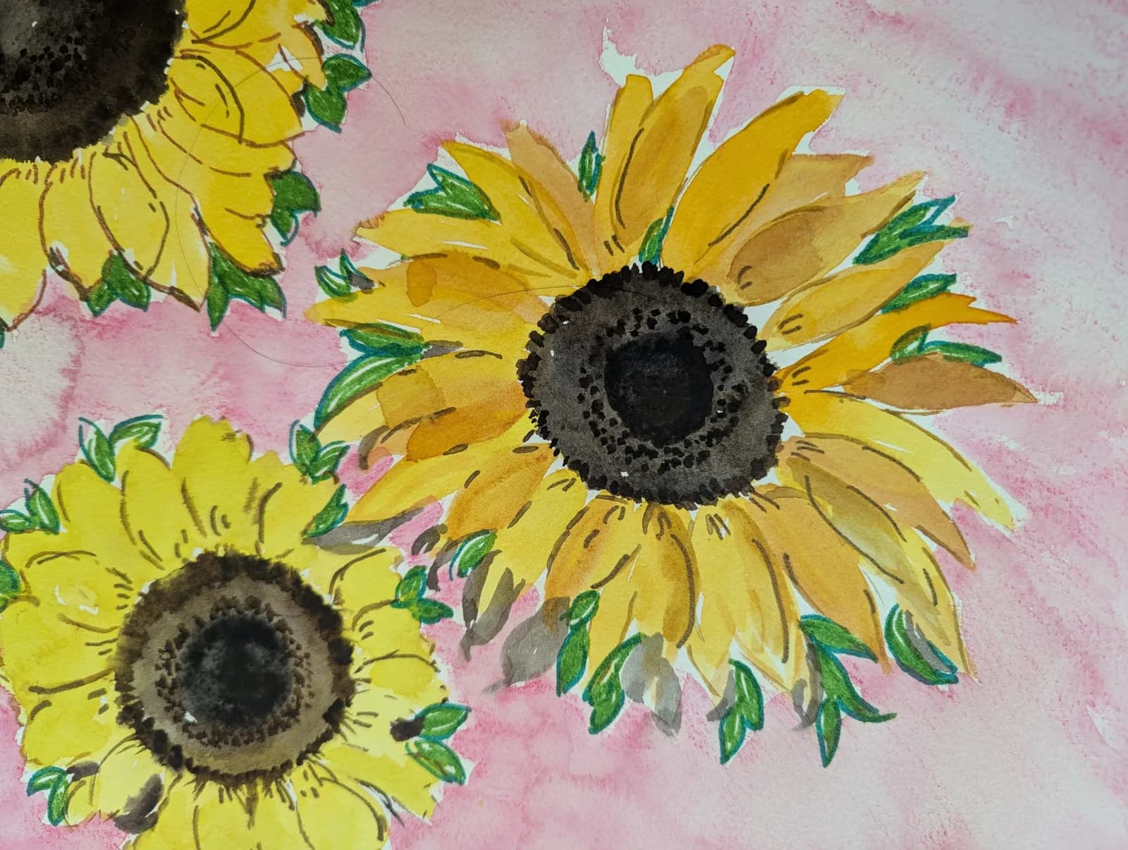 Three sunflowers are painted in watercolor with yellow petals and dark centers against a pink background.