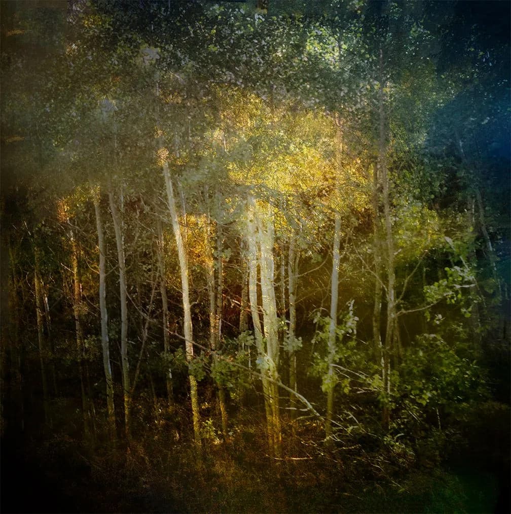 Aspects of Autumn II by Karen Kirkpatrick