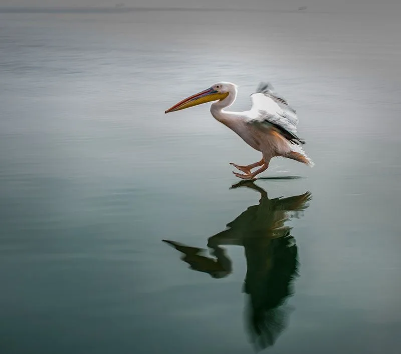 1a_landing by Karen Kirkpatrick