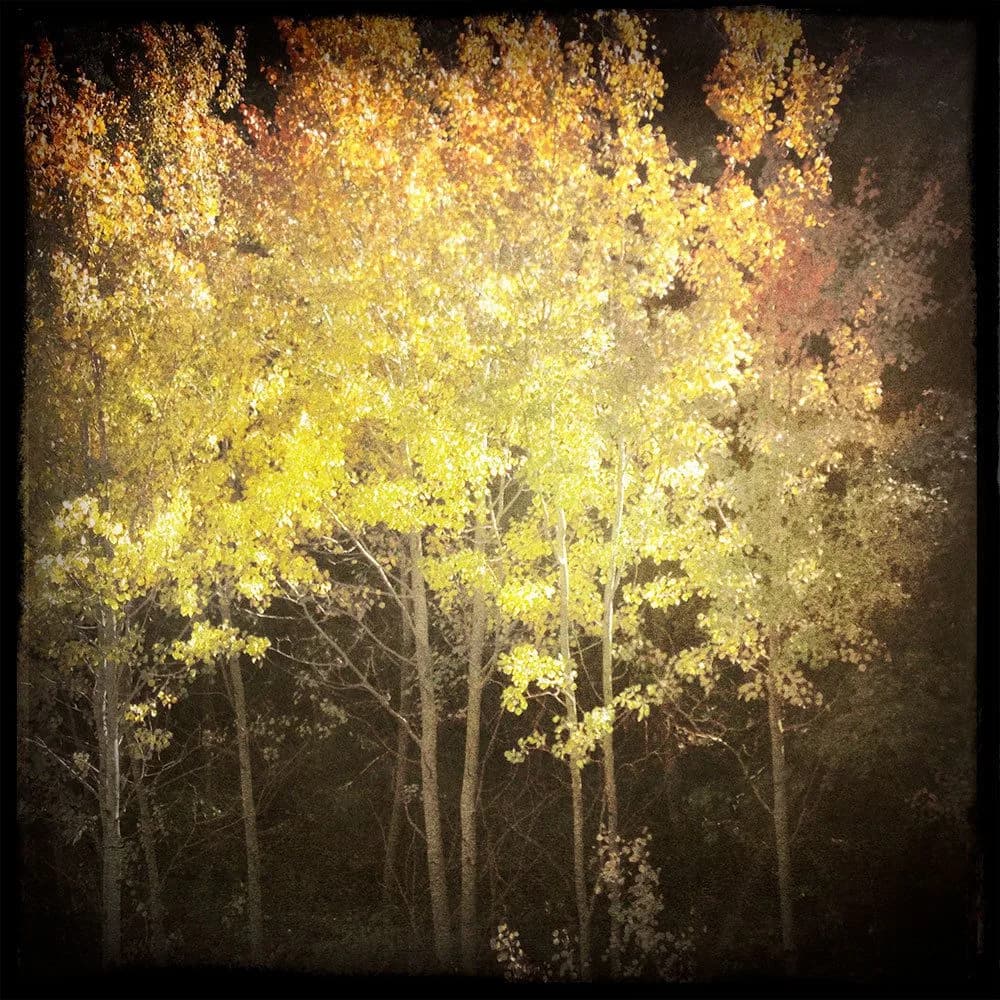 1aspen_glow by Karen Kirkpatrick