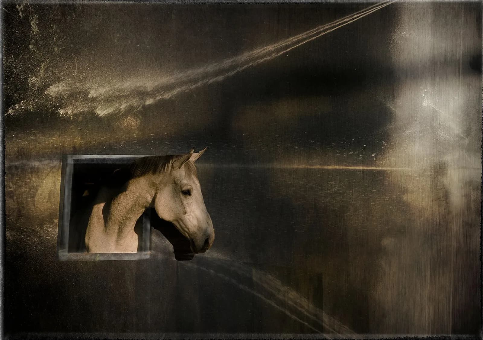 Will_You_Ever_Really_See_Me by Karen Kirkpatrick