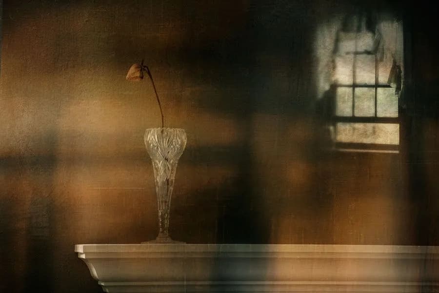 1Disguised_As_Solitude by Karen Kirkpatrick