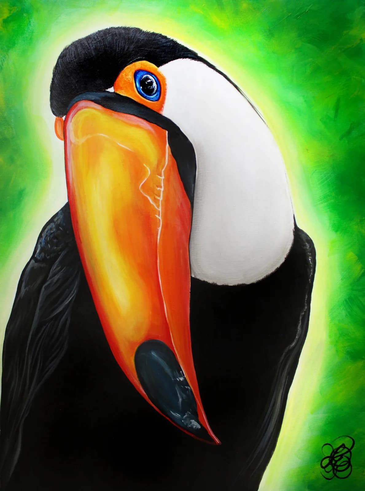Toucan by Karen Kliethermes