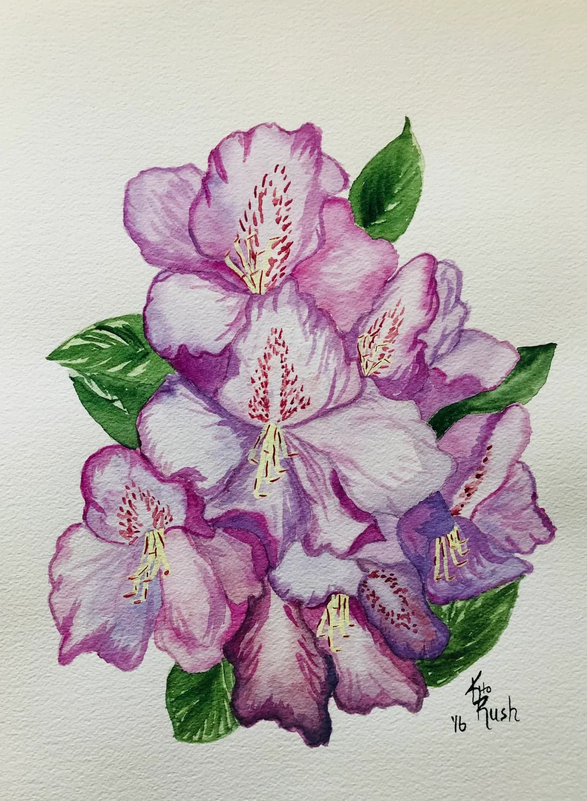 A watercolor painting of pink and purple rhododendron flowers with green leaves, rendered with delicate brushwork.
