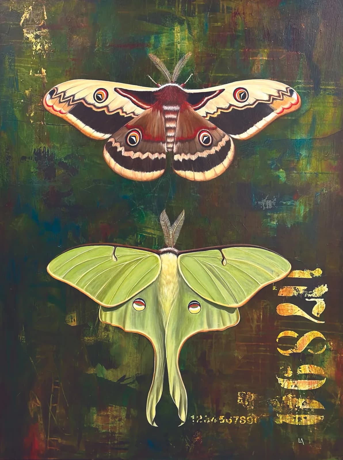 Untitled artwork by Laura Anglin