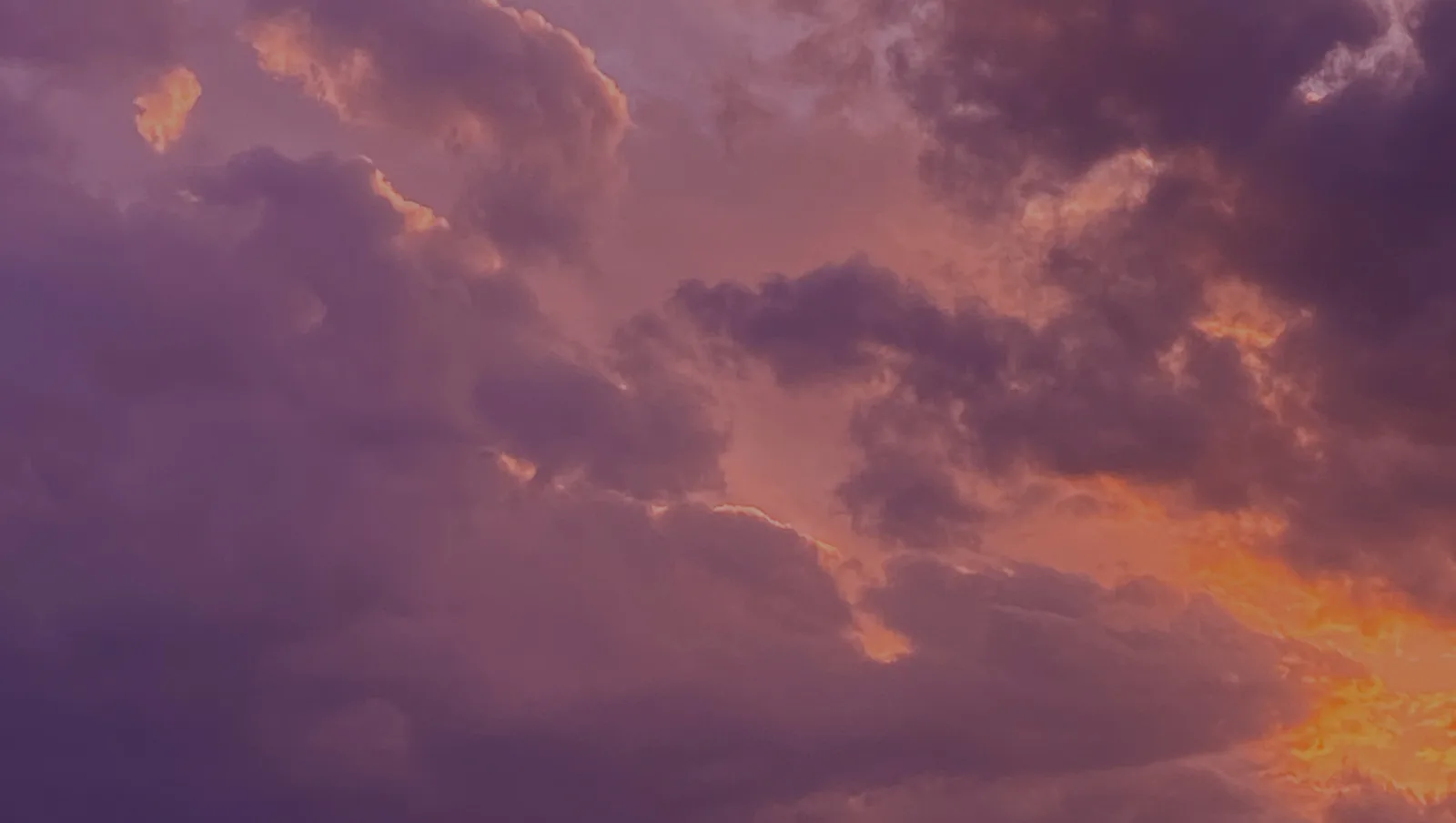 Twilight Sunset by Leah Barber