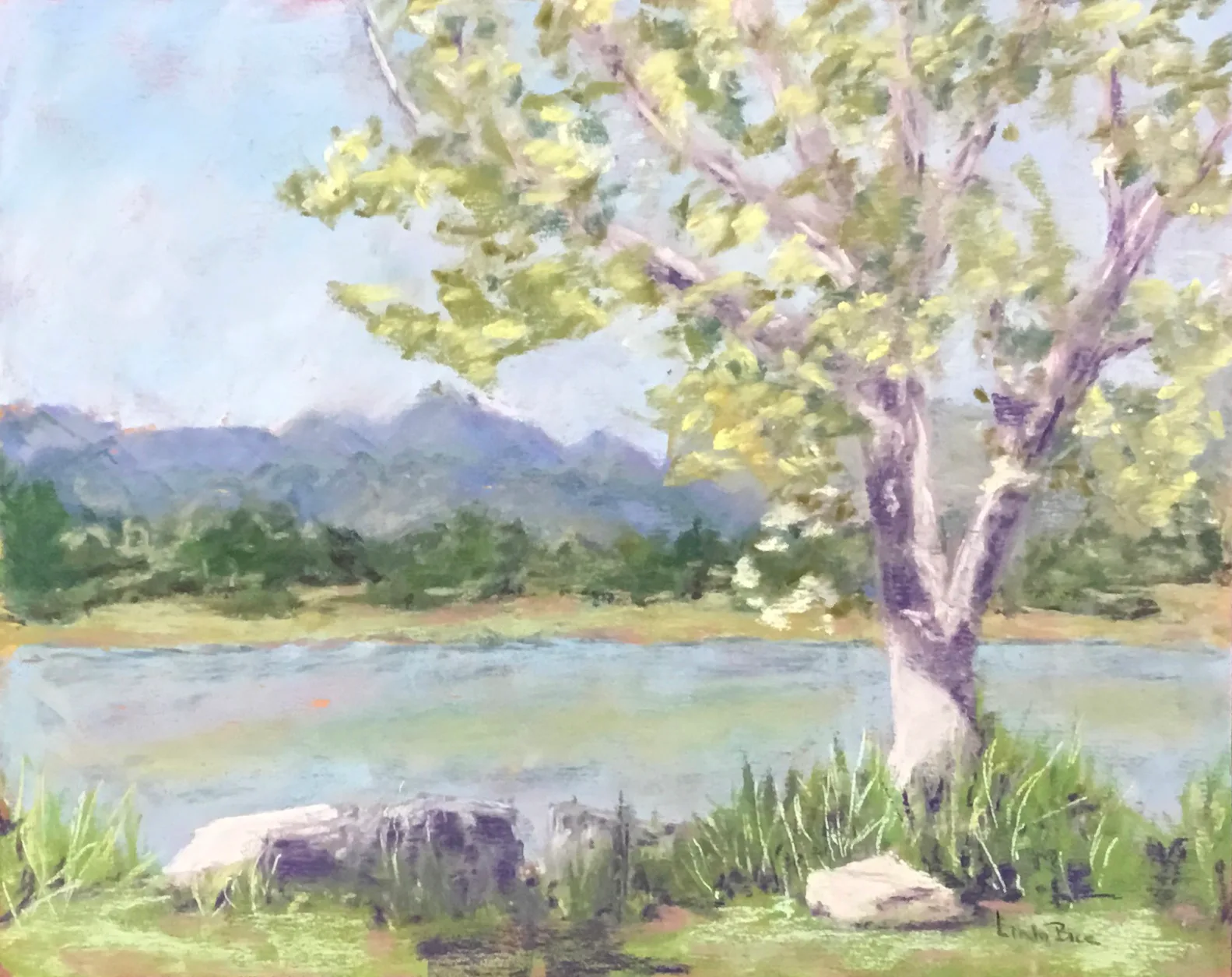 Untitled artwork by Linda Bice