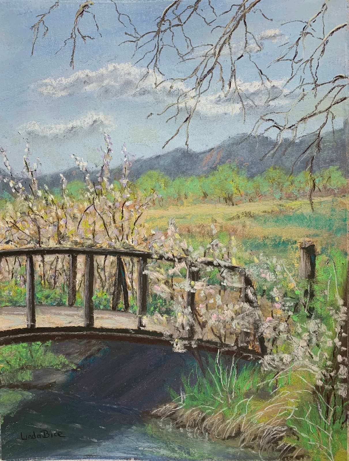 Untitled artwork by Linda Bice