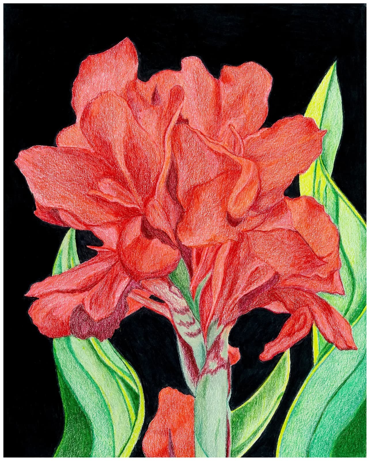 Featured artwork by Linda Greene