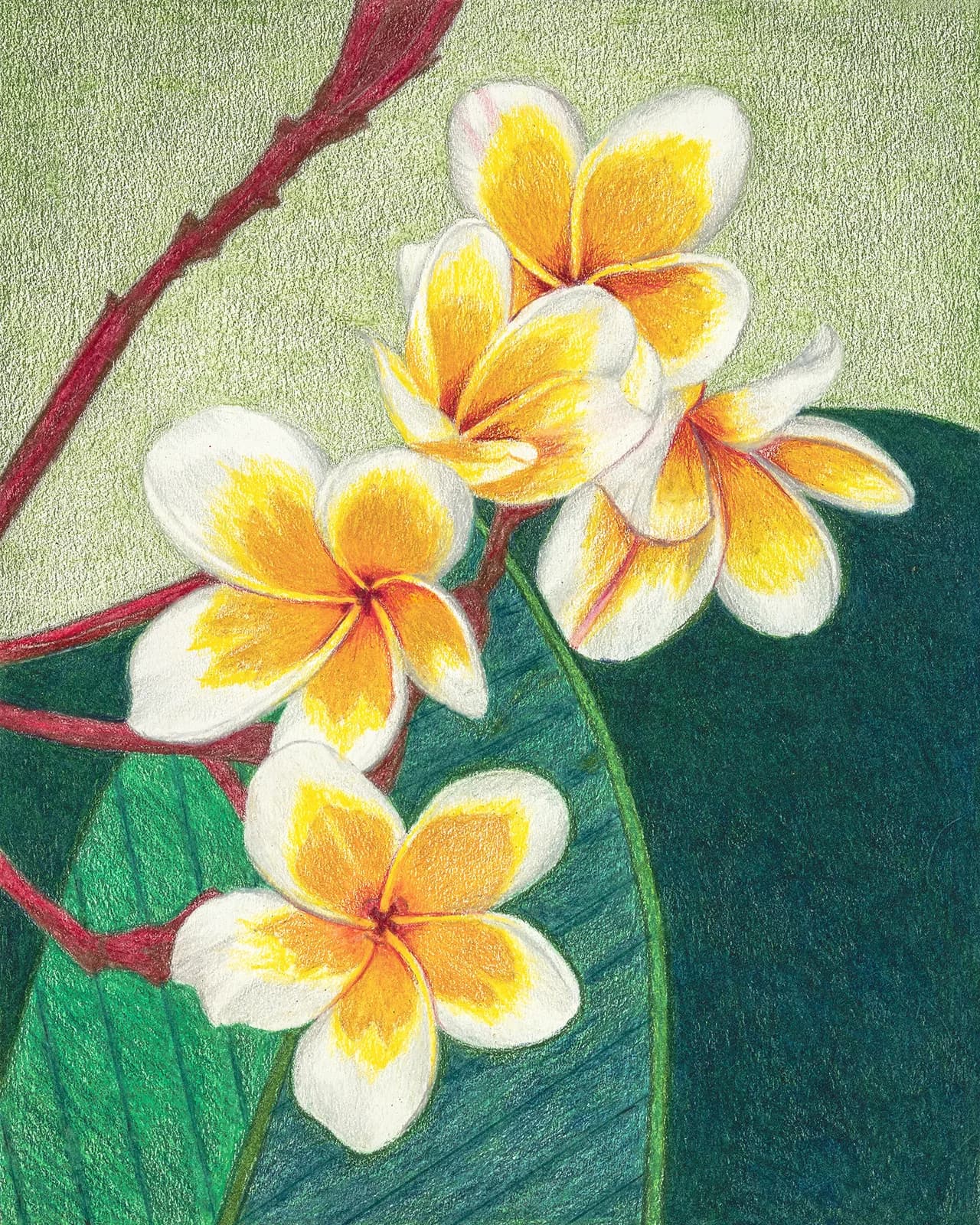 Untitled artwork by Linda Greene