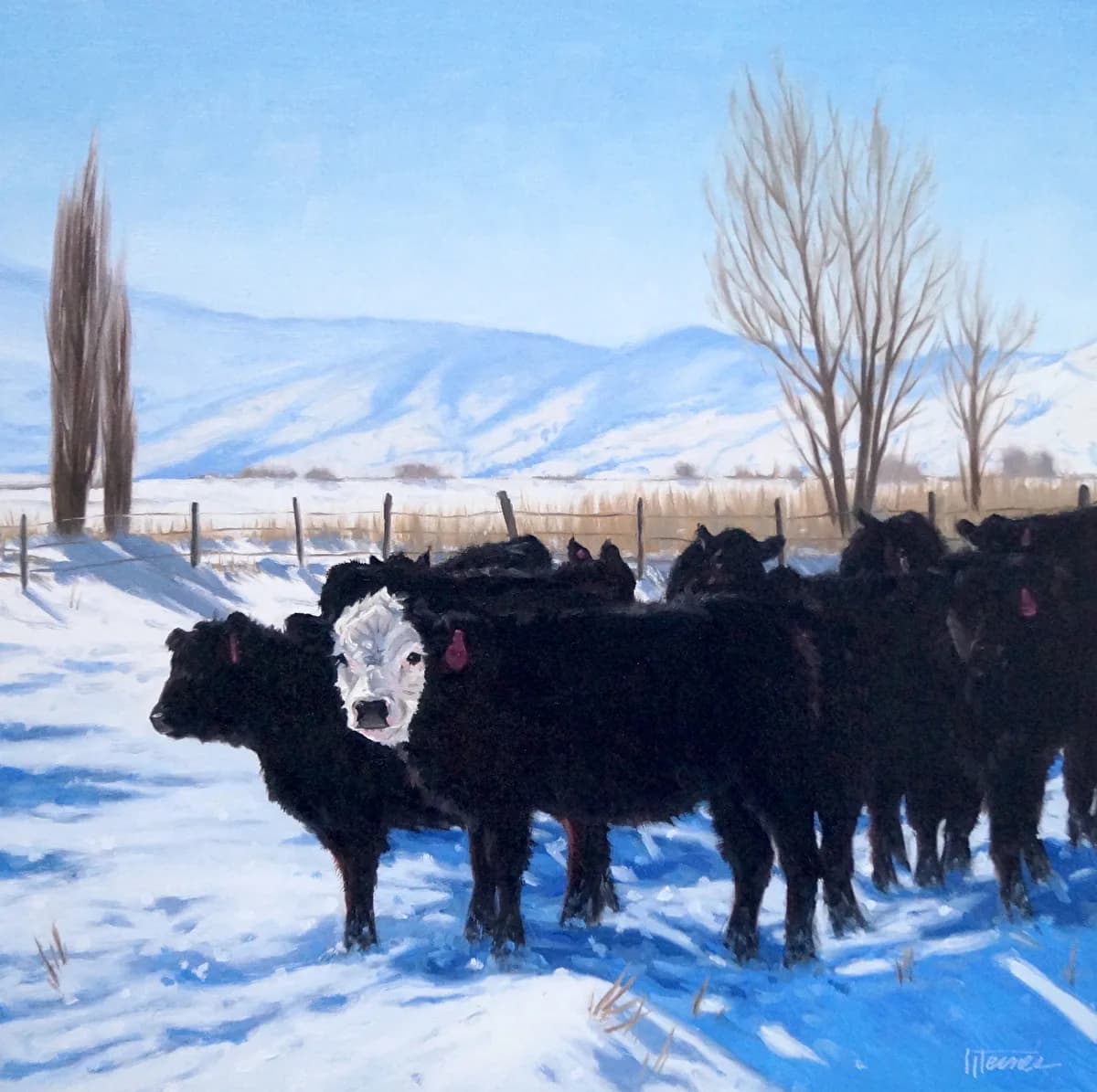 A herd of black cows stands in a snowy landscape under a bright blue sky, rendered in oil.